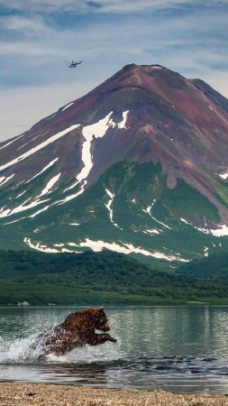 Курильское озеро камчатка