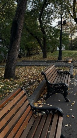 Лавочка в парке скачать фон 720 x 1280