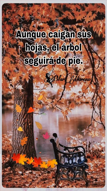 Frases de otoño скачать фон 1080 x 1920
