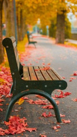 Park bench скачать фон 720 x 1280