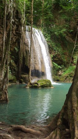 Deep forest waterfall