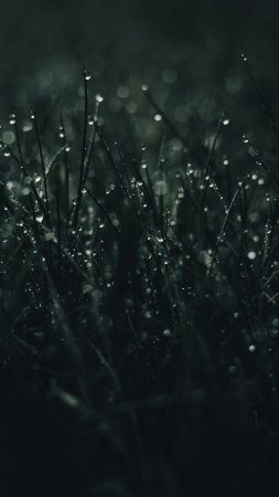 Природа зеленая