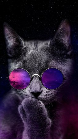 Кот в очках на телефон