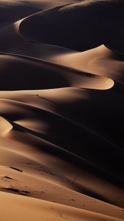Пейзаж пустыня скачать фон 1080 x 1920