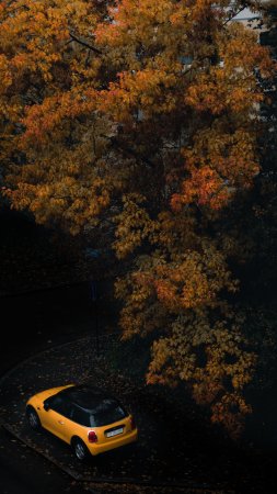 Осень дорога