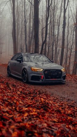 Ауди РС Авант