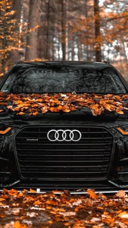 Черная ауди